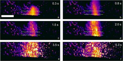 Real-Time Geophysical Monitoring of Particle Size Distribution During Volcanic Explosions at Stromboli Volcano (Italy)